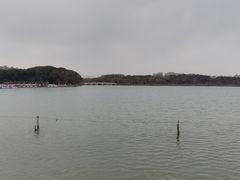 -昆山城市生态森林公园