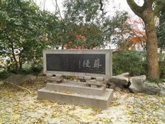 -苏堤停车场