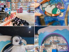 -海合安天津极地海洋公园