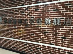 -变美丽半永久纹眉连锁·机器野生眉·洗眉