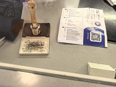 -米兰马尔彭萨国际机场