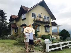 -黄色小屋