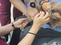 -美联众合动物医院·24h转诊中心
