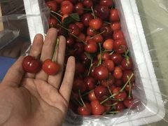 -感恩心素食馆(百世广场店)