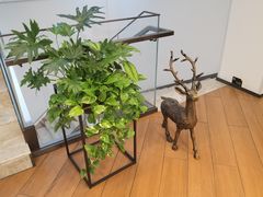 -北京盈之宝宝马4S店(望京店)