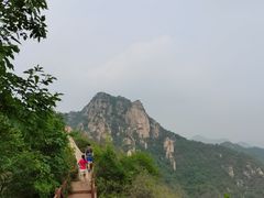 -大岭沟猕猴桃谷风景区