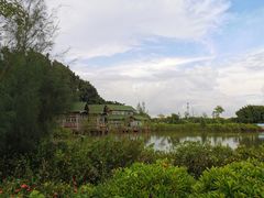 -海上田园