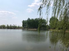 -东郊湿地公园