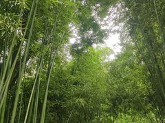 -西安市长乐公园