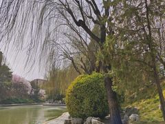 -团结湖公园