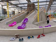 -南宫五洲植物乐园