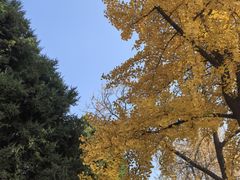 -大连人民广场