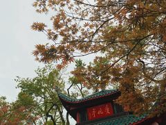 -岳麓山风景名胜区