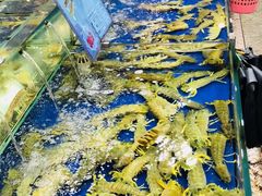 -东江海鲜酒家(艺都分店)