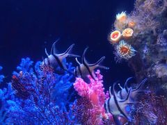 -成都浩海立方海洋公园