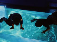 -暹罗海洋世界