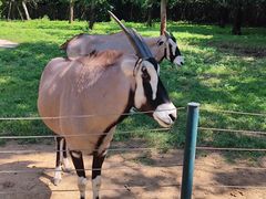 -大连森林动物园