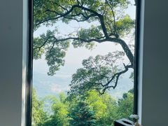 -城外有星光桥舍(南山店)