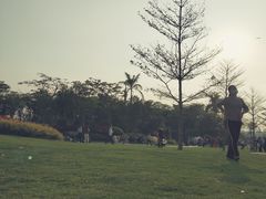 -光明小镇欢乐田园