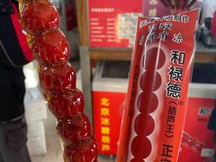 -和禄德冰糖葫芦
