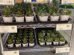 -鹿岛会员店 (龙湖三千集天街店)