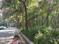 -杨梅红艺术教育(深圳南山书城教学中心)