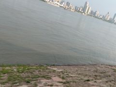 -武昌江滩