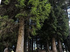 -四川郎木寺镇