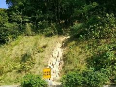 -火炉山森林公园