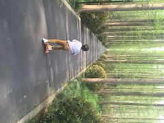 怡沁园度假村-上海怡沁园度假酒店