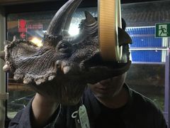 -广州长隆国际大马戏