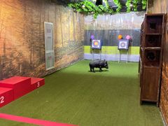 -都市枪神实弹射击俱乐部