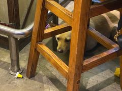 -Cactus墨西哥仙人掌餐厅