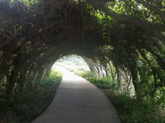 -广西壮族自治区药用植物园