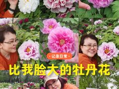 -洛阳市隋唐城遗址植物园