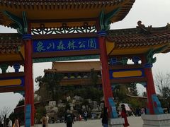 -象山森林公园