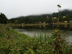 -海南热带雨林国家公园吊罗山景区