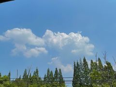 -青城山