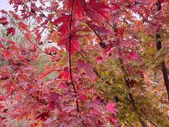 -泗洪洪泽湖湿地景区