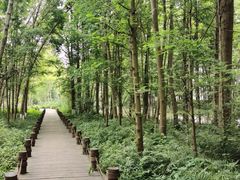 -桤木河湿地公园