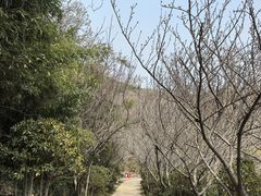 -石老人观光园