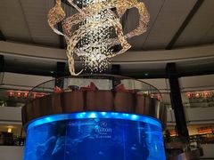 -OPEN開全日自助餐厅·牛肉火锅·海鲜(佛山希尔顿酒店)