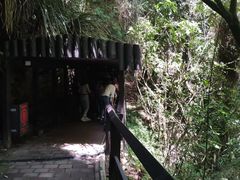 -怀托摩萤火虫洞