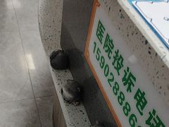 -半岛宠物医院24小时(白果林店)