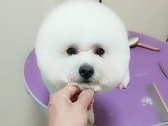 -宠爱有家宠物生活馆