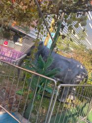 -萌宠亲子动物乐园(槐房万达店)