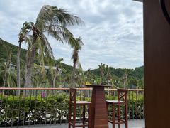 -日落吧·海景咖啡厅·餐酒吧·鸡尾酒·下午茶·乐队表演·浪漫夕阳·三亚文华东方酒店