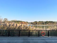 -昆山城市生态森林公园