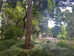-叶家花园
