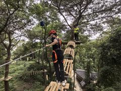 -芦仙山景区-飞越丛林探险乐园